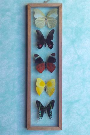 魅力あふれるハイクオリティな周年記念品