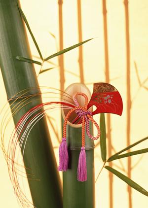 ガチャガチャの森:魅力あふれるおもちゃと遊びの宝庫